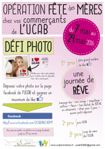 AFFICHE I love UCAB